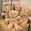 Gấu Bông Teddy Lông Xoăn Thêu Tên Yêu Cầu - Quà Tặng Ý Nghĩa Cho Bé và Người Thân 5
