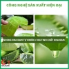 Gel Lô Hội Nha Đam Aloe Vera 98% IMISSMI 300g Dưỡng ẩm, phục hồi da, giá 55k 4