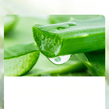 Gel Tẩy Da Chết Ginbi Nha Đam - Làm sạch sâu, da mịn căng bóng, chỉ 17.600₫