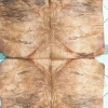 Giảm 50% Combo 2 tấm Ván lạng veneer Nurl QC 0,5mm 22x45cm dùng trang trí, tranh ảnh, dán thùng loa - 40.000₫ 2