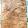 Giảm 50% Combo 2 tấm Ván lạng veneer Nurl QC 0,5mm 22x45cm dùng trang trí, tranh ảnh, dán thùng loa - 40.000₫ 4