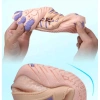 Giày Thể Thao Leo Núi Nhẹ Nhanh Khô Chống Trượt Nam Nữ - Giày Lội Nước Thể Dục 6