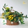 Giỏ nâu bé đan Ovan TV14 - Cắm hoa, trái cây, quà Tết, giảm còn 38.000₫ 2