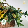 Giỏ nâu bé đan Ovan TV14 - Cắm hoa, trái cây, quà Tết, giảm còn 38.000₫ 4