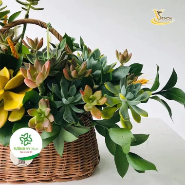 Giỏ nâu bé đan Ovan TV14 - Cắm hoa, trái cây, quà Tết, giảm còn 38.000₫