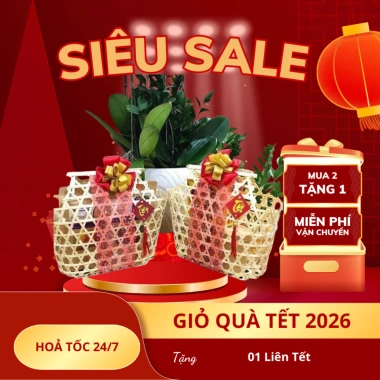 Giỏ Tre Đựng Quà Tết - Trung Thu Decor Chụp Ảnh Trang Trí Tết Bán Chạy Giá 24.500₫
