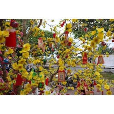 Gói 40 bông Hoa Mai và Hoa Đào giả trang trí Tết - Decor cây cảnh giá 16.000đ 6