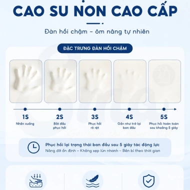Gối cao su non EMA người lớn lượn sóng hỗ trợ cổ vai gáy giảm đau ngủ ngon hơn 5 Gối cao su non EMA người lớn lượn sóng hỗ trợ cổ vai gáy giảm đau ngủ ngon hơn 5