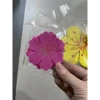 Gói hoa mai xốp trang trí cửa kính văn phòng - Đẹp Tết, giá chỉ 6.000 VND 7