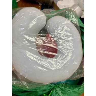 Gối kê cổ hình chữ U êm ái, dễ thương - ngủ văn phòng, du lịch, picnic, ôtô, tàu xe - Giá chỉ 51.300 VND