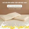 Gối Ngủ Cotton Siêu Mỏng Thấp, Mềm Mại Bảo Vệ Cột Sống - Giá 99k Người Lớn & Trẻ Em 2