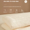 Gối Ngủ Cotton Siêu Mỏng Thấp, Mềm Mại Bảo Vệ Cột Sống - Giá 99k Người Lớn & Trẻ Em 6