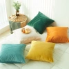 Gối vuông 45x45cm vải nhung – Tựa sofa, ôm lưng văn phòng, trang trí cafe, 23.900₫ 6