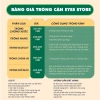 Gọng kính cận mắt mèo nữ hợp kim EYESSTORE DY016 - Giá 30.000 VNĐ, phụ kiện thời trang 6
