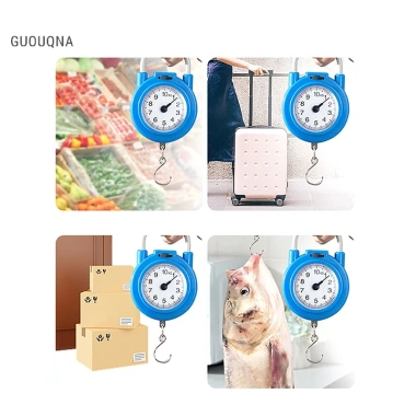 GUOUQNA Cân cơ khí di động 10kg - Kỹ thuật số, độ chính xác cao, thích hợp cho hành lý, nhà bếp, cân lò xo 6 GUOUQNA Cân cơ khí di động 10kg - Kỹ thuật số, độ chính xác cao, thích hợp cho hành lý, nhà bếp, cân lò xo 6