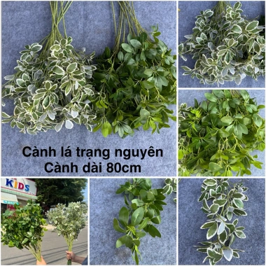 H728 Cành lá trạng nguyên giả - Trang trí bình hoa, giỏ hoa, quà Tết 42.000₫