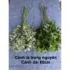 H728 Cành lá trạng nguyên giả - Trang trí bình hoa, giỏ hoa, quà Tết 42.000₫ 4