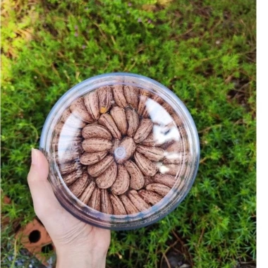 Hạt điều rang muối 500g Đặc sản Bình Phước - Ăn vặt ngon, quà Tết, chỉ 99.000 VND
