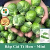 Hạt giống bắp cải tí hon mini F1 giàu dinh dưỡng - Giá chỉ 12.900₫, giảm tới 19%