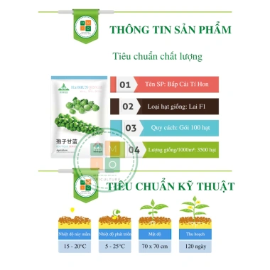 Hạt giống bắp cải tí hon mini F1 giàu dinh dưỡng - Giá chỉ 12.900₫, giảm tới 19%