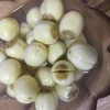 Hạt sen khô Kiến Ninh không sấy lưu huỳnh 500g - Jianning White Lotus Seed giảm giá 332.500 VND 5