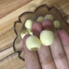 Hạt sen khô Kiến Ninh không sấy lưu huỳnh 500g - Jianning White Lotus Seed giảm giá 332.500 VND 6