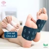 Heabety Miếng Dán Nhiệt Lạnh Thắt Lưng Đầu Gối Chân Eo Cổ - Vật Lý Trị Liệu 2