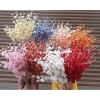 Hoa anh đào giả cao cấp loại 1 - 1 cành, râu mượt, giá chỉ 19.900₫