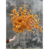 Hoa anh đào giả cao cấp loại 1 - 1 cành, râu mượt, giá chỉ 19.900₫ 9