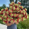 Hoa Bảo Thạch giả 1 cành 4 bông dài 70cm cao cấp - Giá chỉ 29.500đ, giảm mạnh 6