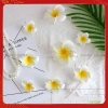 Hoa Đại, Hoa Sứ, Hoa Giả Cherry Decor - Phụ Kiện Cài Tóc, Đồ Handmade, Đạo Cụ Chụp Ảnh, Giá 7.009đ