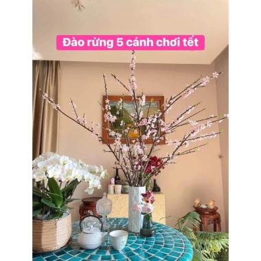Hoa Đào Rừng 5 Cánh - Bó Cắm Tết 1 Bó Nở Dần, Trang Trí Nhà, Giá 115k