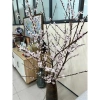 Hoa Đào Rừng 5 Cánh - Bó Cắm Tết 1 Bó Nở Dần, Trang Trí Nhà, Giá 115k 6
