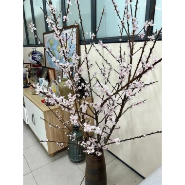 Hoa Đào Rừng 5 Cánh - Bó Cắm Tết 1 Bó Nở Dần, Trang Trí Nhà, Giá 115k