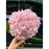 Hoa giả cẩm tú cầu lụa bông 20cm - Trang trí nhà, studio chụp ảnh, giá 76.000đ 10