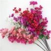 Hoa giả Cành hoa giấy đẹp - Giàn hoa trang trí siêu đẹp, giá chỉ 10.000₫