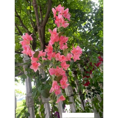 Hoa giả Cành hoa giấy đẹp - Giàn hoa trang trí siêu đẹp, giá chỉ 10.000₫ 4