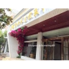 Hoa giả cành hoa giấy giống thật - Trang trí nhà cửa, decor sang trọng, giảm giá 38.000 VND 4