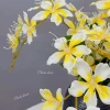 Hoa giả cành lẻ 9 bông 70cm - Hải đường lụa cao cấp, decor nhà cửa, 19.000 3