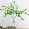 Hoa Giả Cao Cấp Cành Lá Thạch Nam - Sương Mai Phong Cách Bắc Âu, Trang Trí Giá 27.000₫ 2
