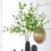 Hoa Giả Cao Cấp Cành Lá Thạch Nam - Sương Mai Phong Cách Bắc Âu, Trang Trí Giá 27.000₫ 4