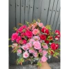 Hoa giả Combo 5-10 cành Hoa Hồng Tỷ Muội Lụa Hồng Sophia - Giá chỉ 140.000 VNĐ