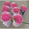 Hoa giả Combo 5-10 cành Hoa Hồng Tỷ Muội Lụa Hồng Sophia - Giá chỉ 140.000 VNĐ 2