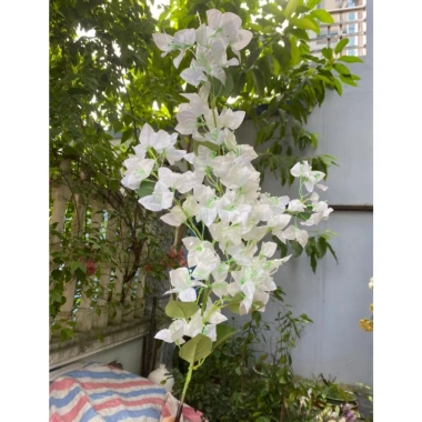 Hoa giả giấy ngũ sắc cao 1m, nhiều màu bền đẹp, decor phòng, giá 7.000₫ 5 Hoa giả giấy ngũ sắc cao 1m, nhiều màu bền đẹp, decor phòng, giá 7.000₫ 5