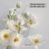 Hoa giả hoa anh túc lụa 110cm – Trang trí nhà, phụ kiện chụp hình, giá 39.800₫ 4