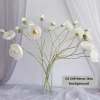 Hoa giả hoa anh túc lụa 110cm – Trang trí nhà, phụ kiện chụp hình, giá 39.800₫ 5