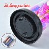 Hoa Hồng 3D LED Lồng Kính + Keo Túi Xách & Thiệp - Quà Valentine, Sinh Nhật, 8/3 5