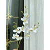 Hoa lan giả cành dài 80cm - Lan Thái cao su, siêu bền, giá chỉ 35.000₫