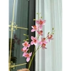 Hoa lan giả cành dài 80cm - Lan Thái cao su, siêu bền, giá chỉ 35.000₫ 3