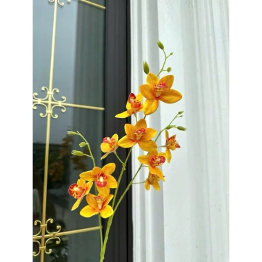 Hoa lan giả cành dài 80cm - Lan Thái cao su, siêu bền, giá chỉ 35.000₫